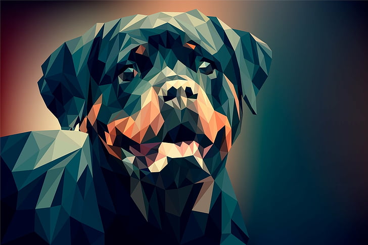 HD wallpaper: Abstract, Facets, Digital Art, Dog, Low Poly, Polygon,  Rottweiler | Wallpaper Flare
