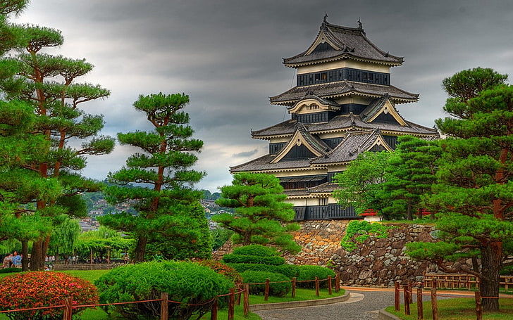 building, Asian architecture, Japan, Matsumoto Castle, tree, HD wallpaper