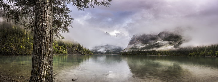 nature, landscape, lake, mist, panoramas, forest, mountains