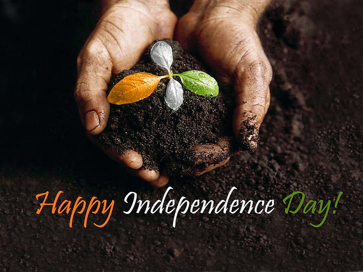 Happy independence day india wallpaper Royalty Free Vector