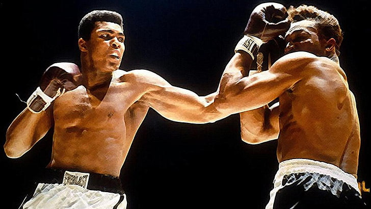 muhammad ali, athlete, sport, muscular build, strength, competition, HD wallpaper