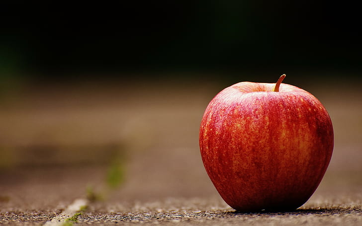 apple, fruit backgrounds, ripe, download 3840x2400 apple