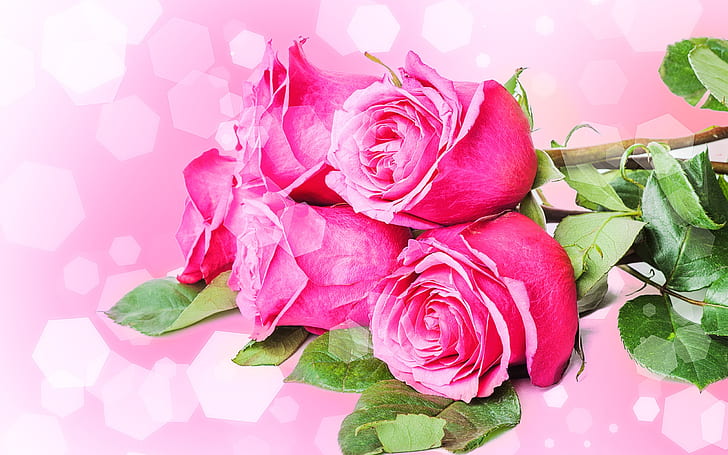 Bouquets flowers, pink roses