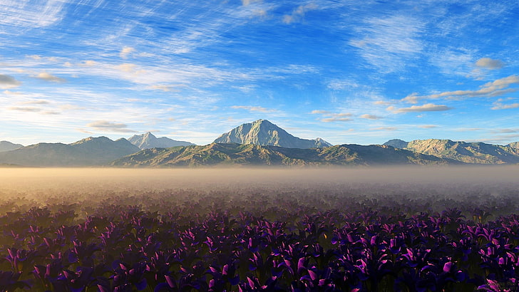 purple flower field, landscape, flowers, nature, mountains, purple flowers, HD wallpaper