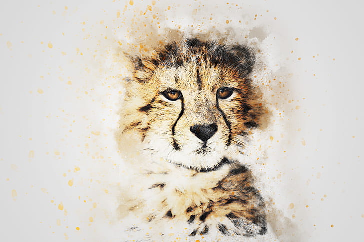 HD wallpaper: look, face, picture, watercolor, leopard