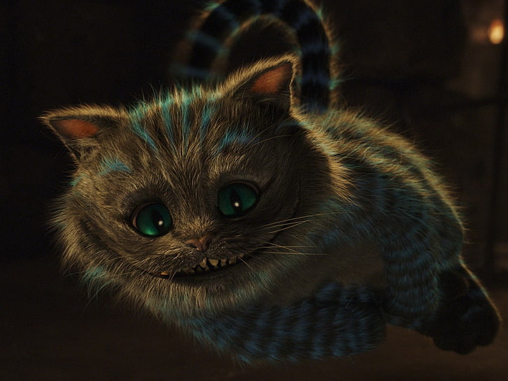 gray kitten illustration, Alice in Wonderland, cat, smiling, flying, HD wallpaper