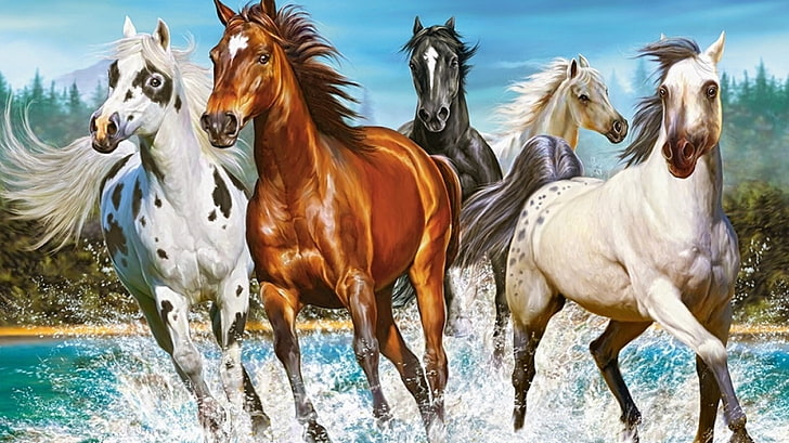 Pferde, Familie, Wasser, Deutschland, domestic animals, mammal, HD wallpaper