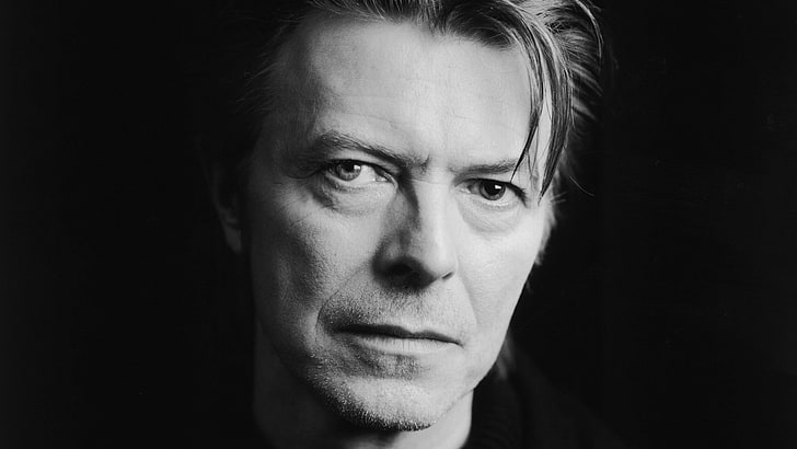 David Bowie, musician, monochrome, looking at viewer, celebrity