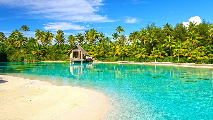 Incredible Aqua Blue Clear Lagoon Bora Bora Paradise Isl Polynesia Tahiti Desktop Background 339695, HD wallpaper