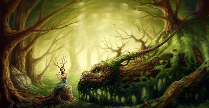 forest, girl, dragon, druid, HD wallpaper