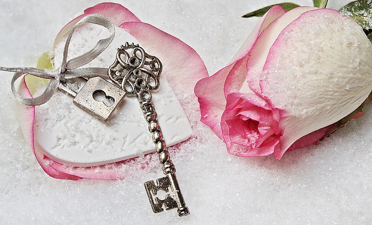 love, rose, heart, winter, snow, key, romantic, lock, HD wallpaper