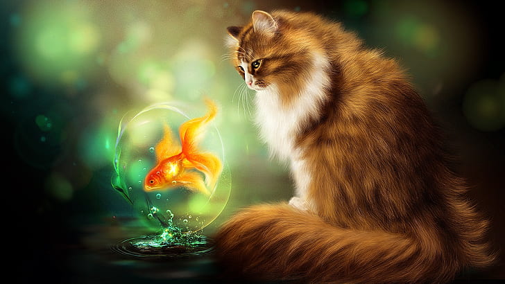 cat, fantasy art, goldfish, painting art, HD wallpaper