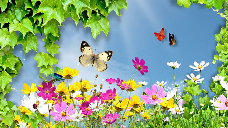 Wonderful World Of Wild Flowers, bright, grass, daisies, spring, HD wallpaper