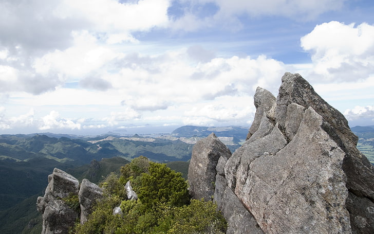edward's lookout kauaeranga, rock, height, top, mountain, nature