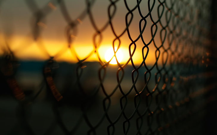 fence, Sun, macro, blurred, photography, boundary, barrier, HD wallpaper