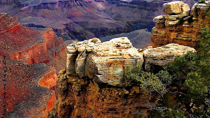 rock monument beside tree, mountains, nature, Grand Canyon, Grand Canyon National Park, HD wallpaper