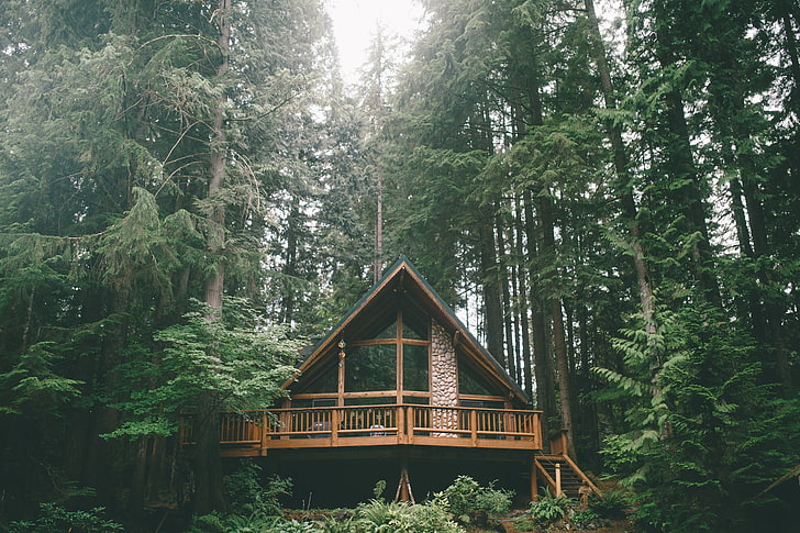 brown wooden house, forest, trees, vacation, plant, architecture