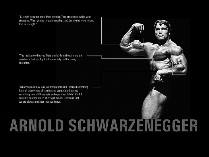 HD wallpaper: Arnold Schwarzenegger, power, body, muscle, quotes, muscular  Build | Wallpaper Flare