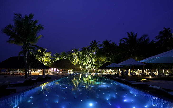 palm trees, swimming pool, night