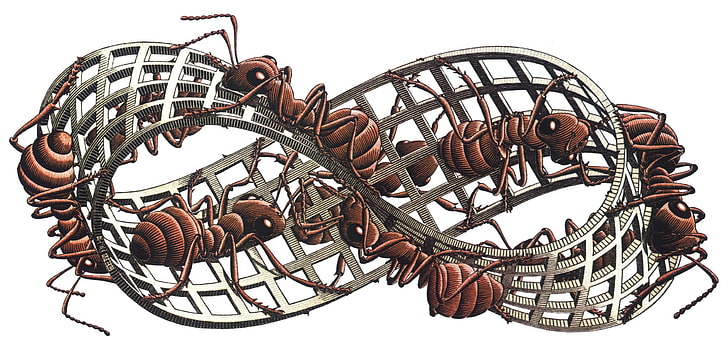brown ants illustration, artwork, M. C. Escher, insect, grid