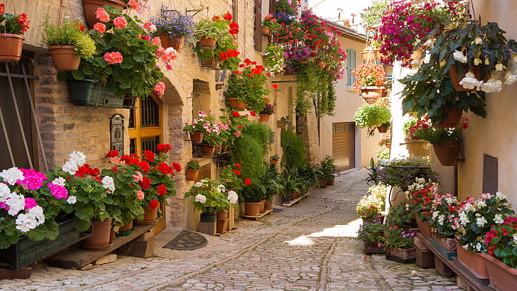 city, beautiful streets, street, flowers, greece, HD wallpaper