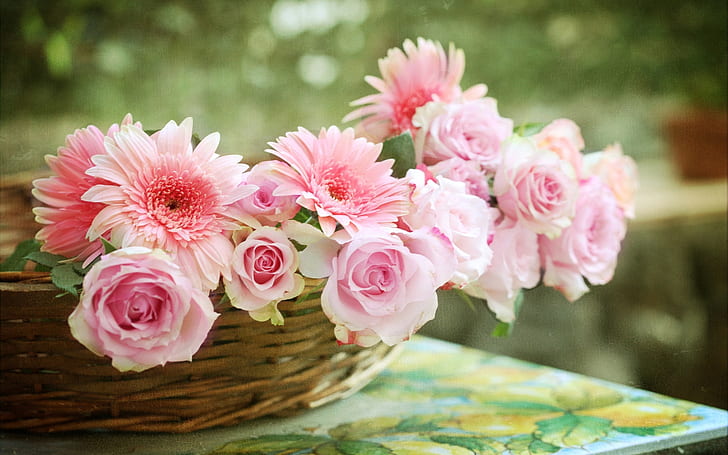 Pink rose, gerbera daisies, basket, HD wallpaper
