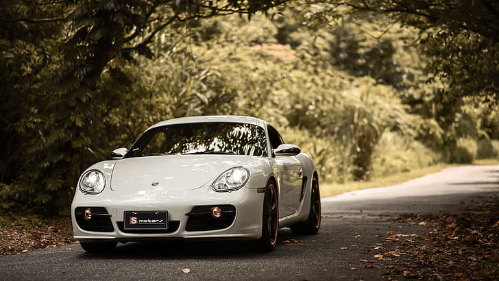 Porsche, Porsche Cayman S, Car, Sport Car, Vehicle, White Car