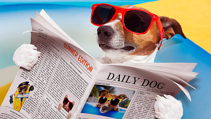 Dog reading 1080P, 2K, 4K, 5K HD wallpapers free download | Wallpaper Flare