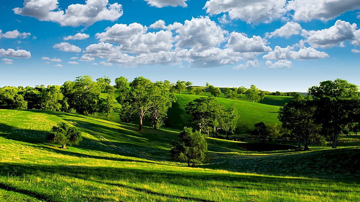 Green valley, nature scenery, blue sky, white clouds, trees, grasslands, sun, HD wallpaper