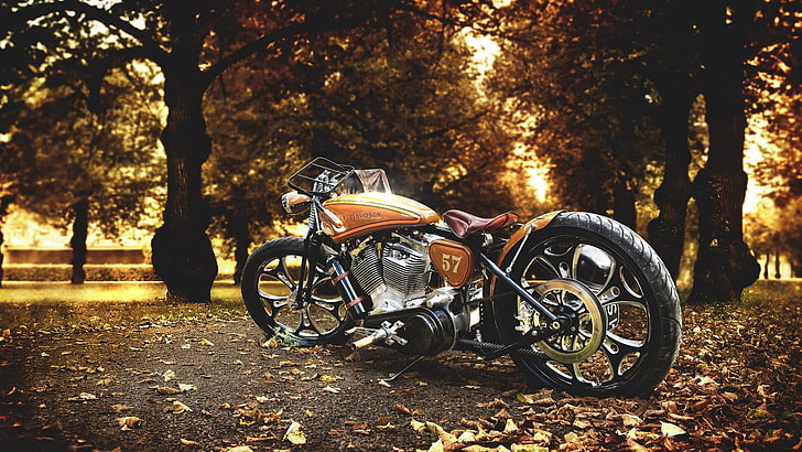 brown and gray cruiser motorcycle, brown bobber motorcycle, Harley Davidson