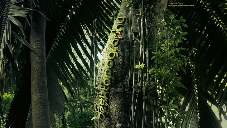 Desktopography, jungle, plants, trees, palm trees, nature, digital art