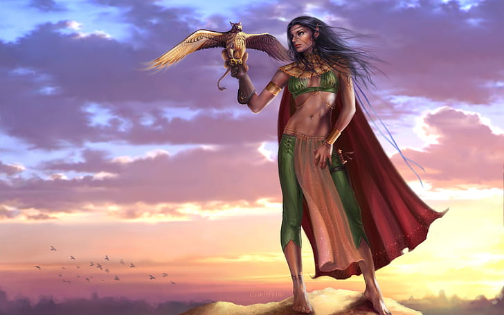 Gryphon lady, elf, warrior, birds, sunset, fantasy girl, HD wallpaper