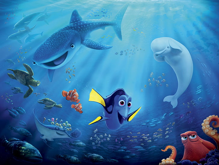 Baby dory HD wallpapers  Pxfuel