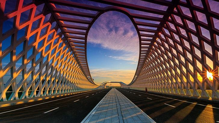 white road illustration, white suspension bridge, sunset, depth of field, HD wallpaper