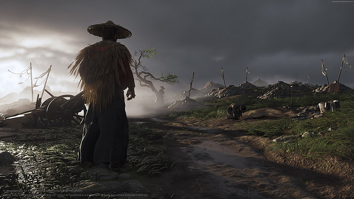 Video Game, Ghost of Tsushima