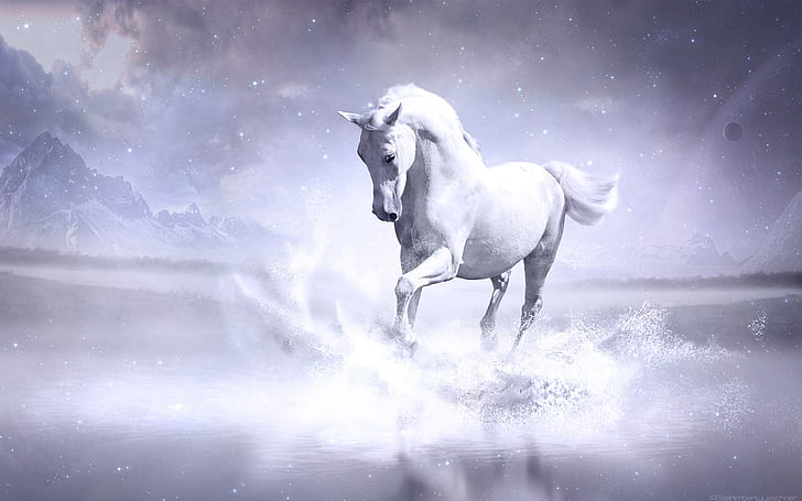 White Horse, HD wallpaper