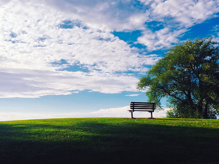 bench, trees, field, hills, landscape, clouds, sky, nature, HD wallpaper