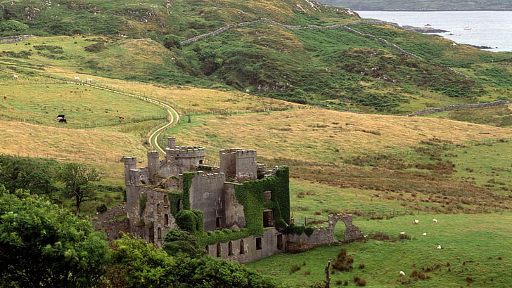 Clifden Castle County Galway Irel, trees, hills, meadow, nature and landscapes
