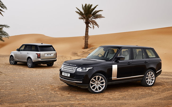 black Land Rover Range Rover, sand, the sky, palm trees, desert