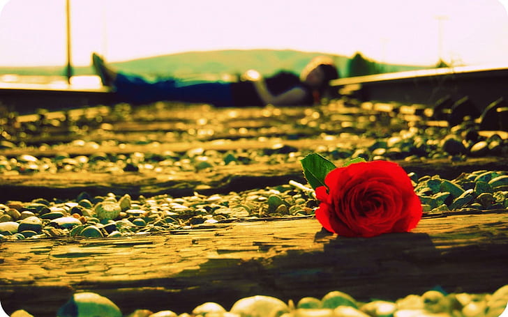 Passionate Life, red rose, binary, love, road, train, girl, moments, HD wallpaper