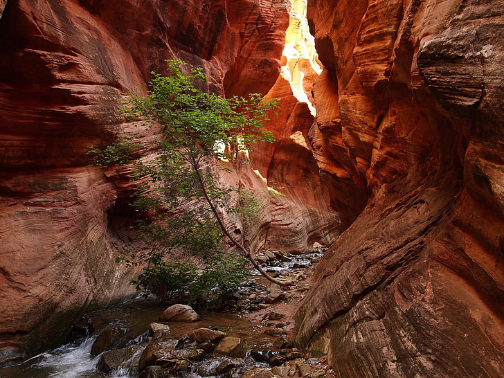 Zion National Park 1080P 2k 4k HD wallpapers backgrounds free download   Rare Gallery