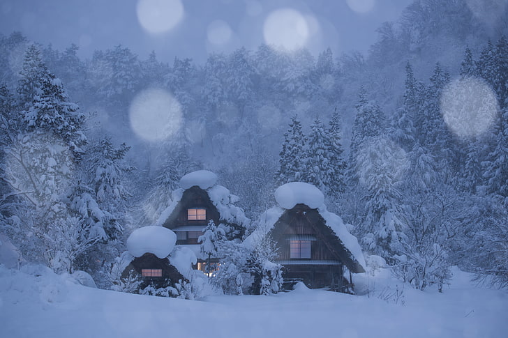 three houses covered by snow, winter, forest, trees, Japan, village, HD wallpaper