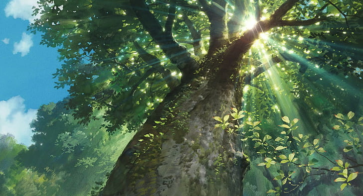 worms eye view, nature, Studio Ghibli, sunlight, sun rays, Karigurashi no Arrietty, HD wallpaper