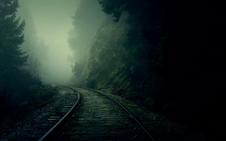 nature dark forest fog railroad tracks pine trees 2560x1600  Abstract Fantasy HD Art, HD wallpaper