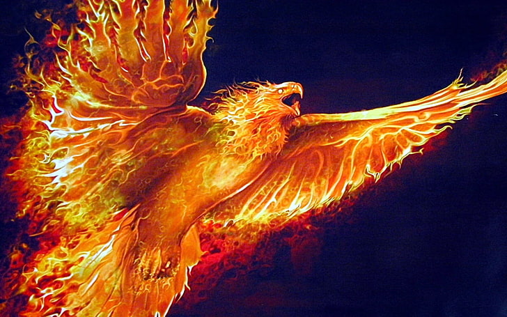 eagle with flames wallpaper, Fantasy Animals, Phoenix, Bird, CGI, HD wallpaper