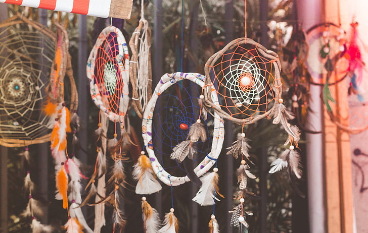 assorted-color dreamcatchers, feathers, decoration, circle, equipment