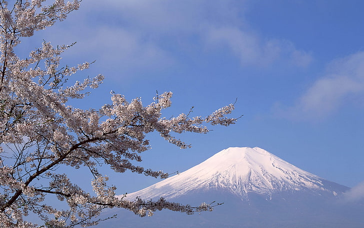 Mt. Fuji, Japan, nature, mountains, tree, beauty in nature, sky, HD wallpaper