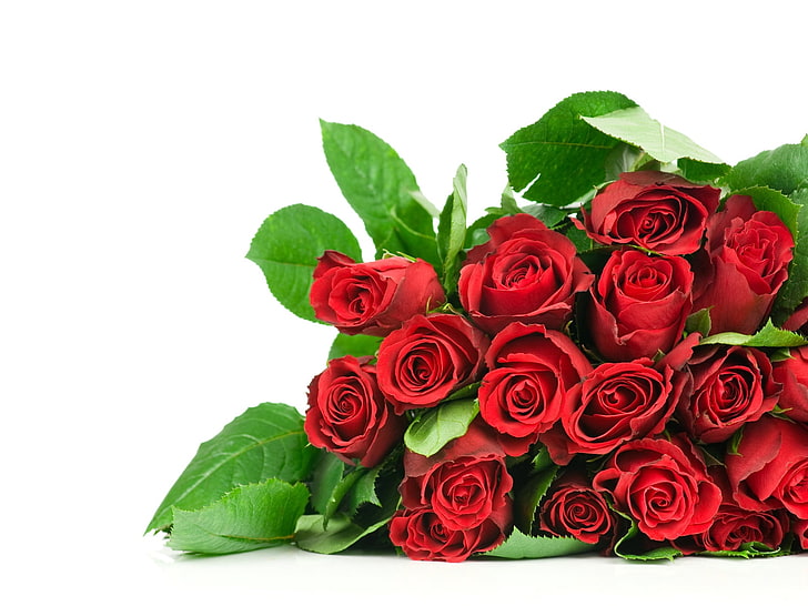 red roses, flowers, bouquet, much, elegant, rose - Flower, nature, HD wallpaper