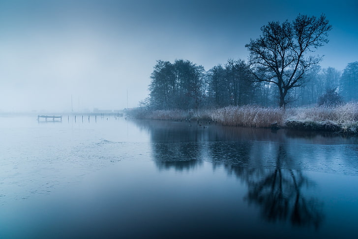 body of water, trees, frozen lake, mist, cold, nature, blue, tranquility