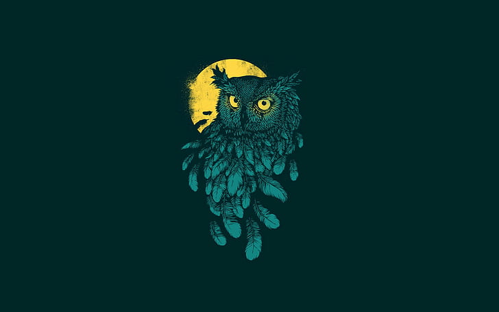 feathers, owl, animals, minimalism, Moon, simple background, HD wallpaper